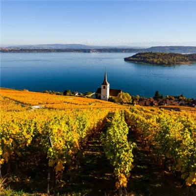 kaiyun手机版网页版登录入口