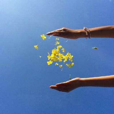 半岛·综合体育手机app下载