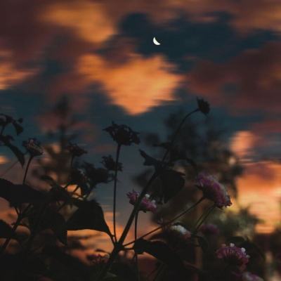 极速飞艇计划下载手机版