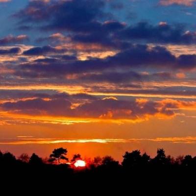 ROR体育app官方下载