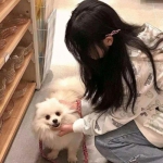 Welcome彩票中心注册大厅进入app下载